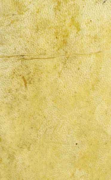 Espositione della carta topografica cingolana dell'agro romano : con la eruditione antica, e moderna
