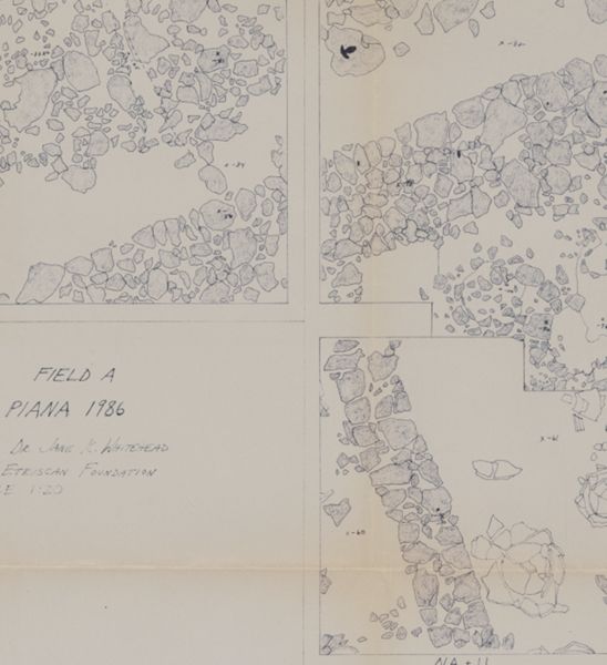 Field A, La Piana