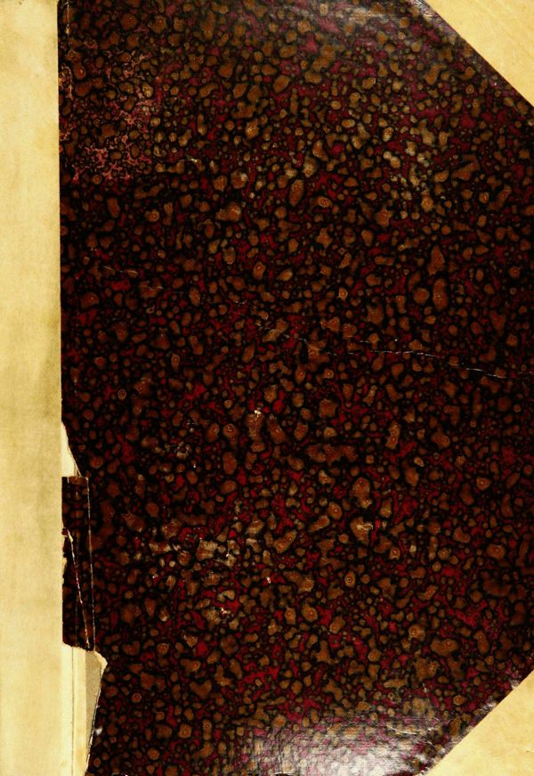 First page of Il mercato, il Lago dell'Acqua Vergine, ed il Palazzo Panfiliano nel circo Agonale detto volgarmente Piazza Navona