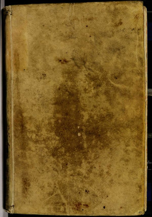 First page of Roma ricercata nel suo sito