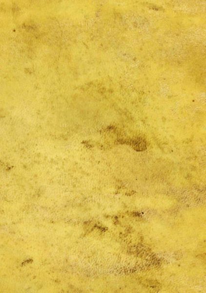 Villa Borghese fuori di Porta Pinciana