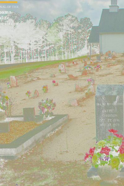 Tributaries, Issue 14