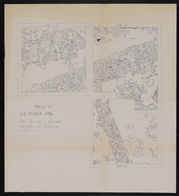 First page of Field A, La Piana