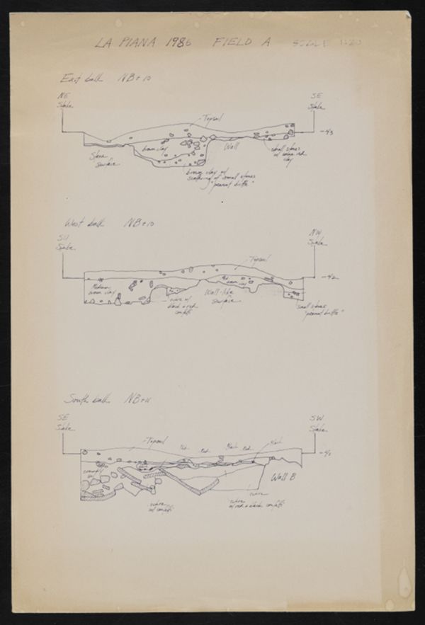 First page of La Piana Field A Sections