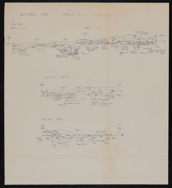First page of La Piana Field A Sections (2)