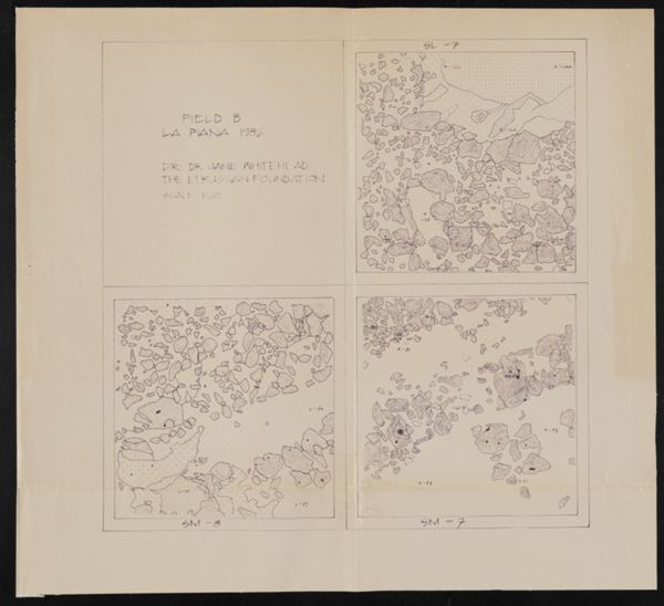 First page of Field B, La Piana