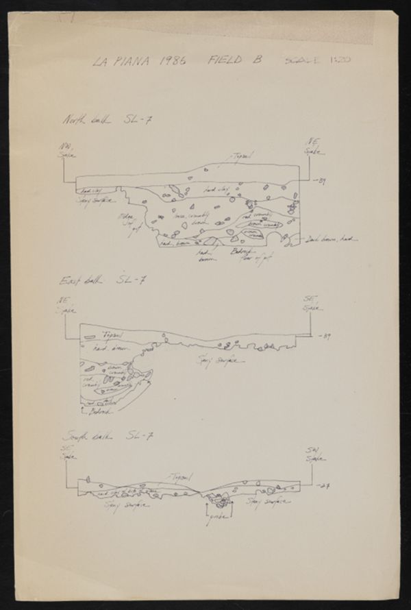 First page of La Piana Field B Sections