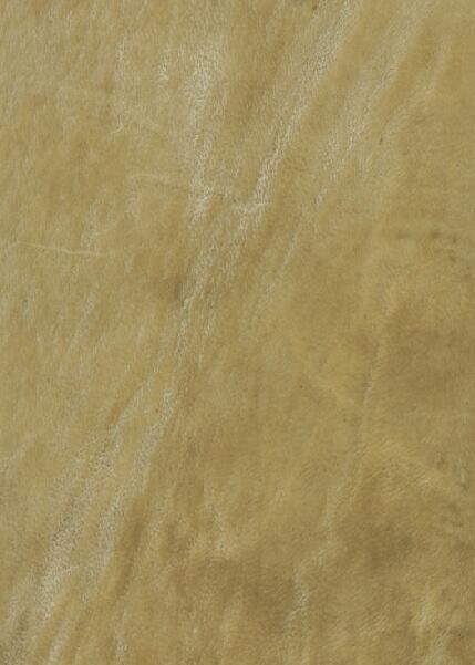 First page of De bykorf des gemoeds : honing zaamelende uit allerly bloemen