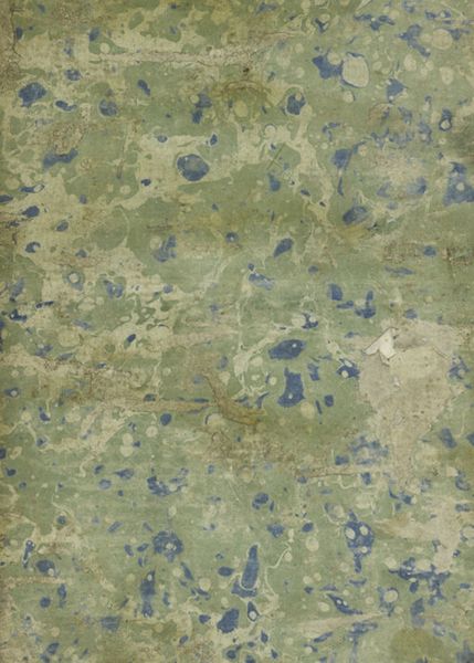 Villa Pamphilia : eiusque palatium, cum suis prospectibus, statuae, fontes, vivaria, theatr