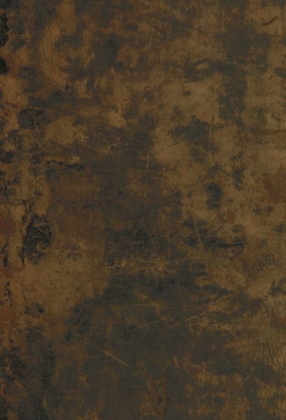 Vita Aurelii Augustini ecclesiae doctoris iconibus olim illustrata rudiori nunc calamo explicata // Vita Avrelii Avgvstini