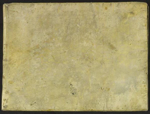 First page of Sereniss. Mantuae Duci Ferdinando Gonzaghae DD.