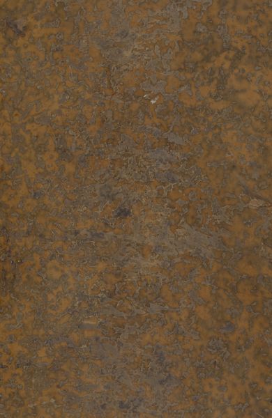 Thesaurus antiquitatum romanarum, 09, Tomus Nonus