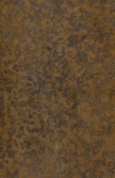 First page of Thesaurus antiquitatum romanarum, 03, Tomus Tertius