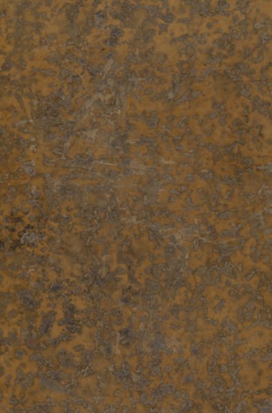 Thesaurus antiquitatum romanarum, 11, Tomus Undecimus