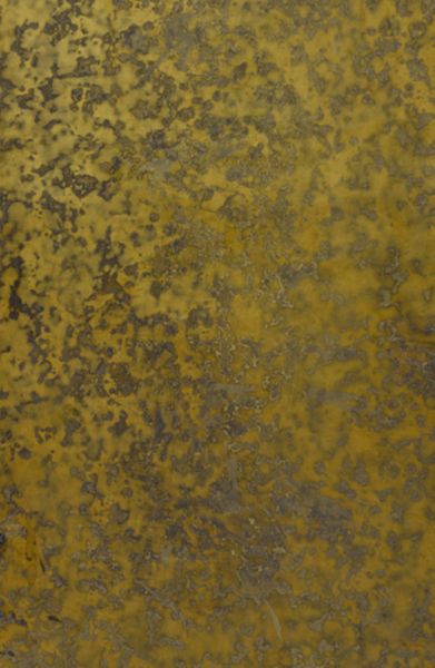 Thesaurus antiquitatum romanarum, 12, Tomus Duodecimus