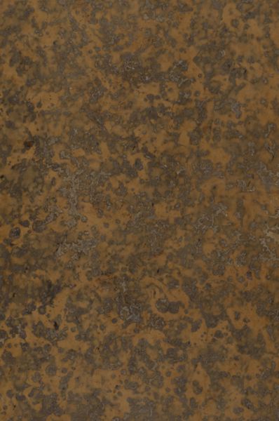 Thesaurus antiquitatum romanarum, 4, Tomus Quartus