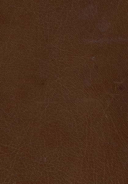 Vitruuius iterum et Frontinus